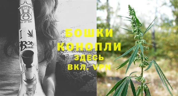 эйфоретик Билибино