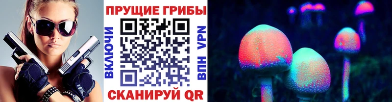 blacksprut зеркало Малоярославец Галлюциногенные грибы Psilocybe