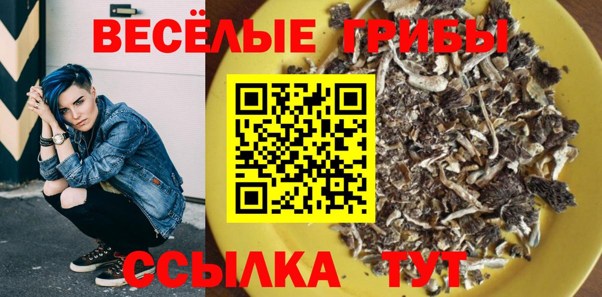 Псилоцибиновые грибы мухоморы  Вход с VPN  Галлюциногенные грибы ЛСД  Малоярославец 